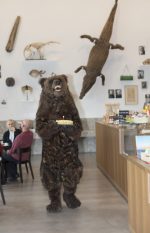 Ein Jahr neues Naturmuseum St. Gallen – Hier tanzt der Bär