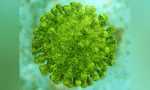 Coronavirus – Die Lage ist ernst, doch gemeinsam durchzustehen