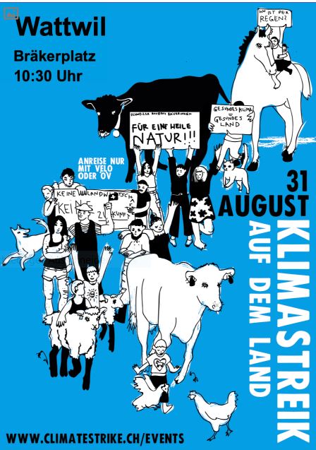 31. August, 10.30 Uhr, Klima-Demonstration auf dem Bräkerplatz in Wattwil